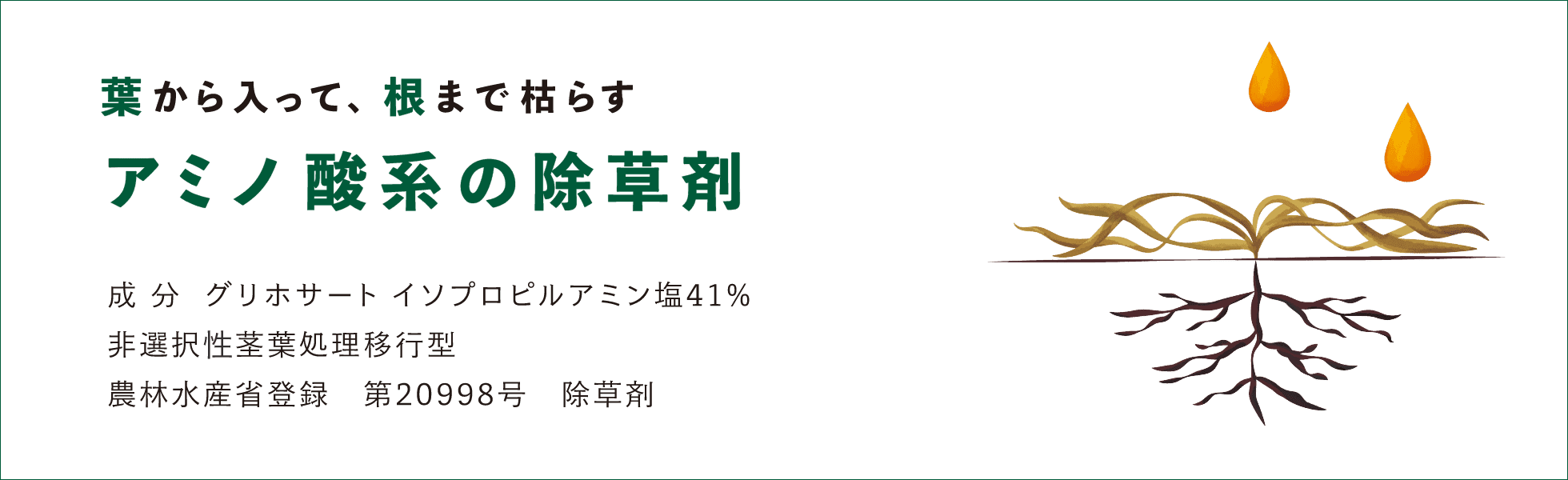 葉から入って、根まで枯らす　アミノ酸系の除草剤 ハーブ・ニート