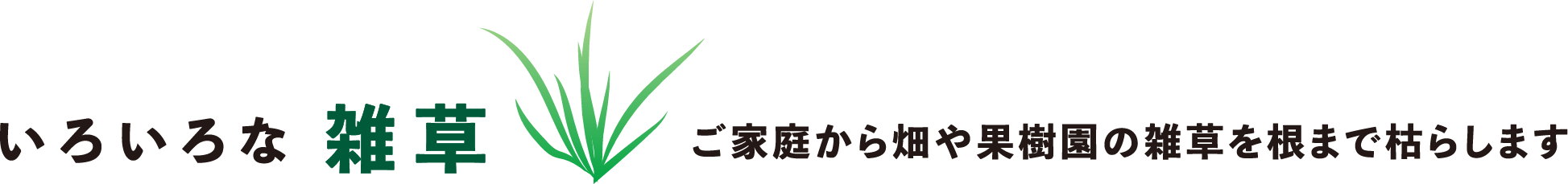 いろいろな雑草 ご家庭から畑や果樹園の雑草を根まで枯らします