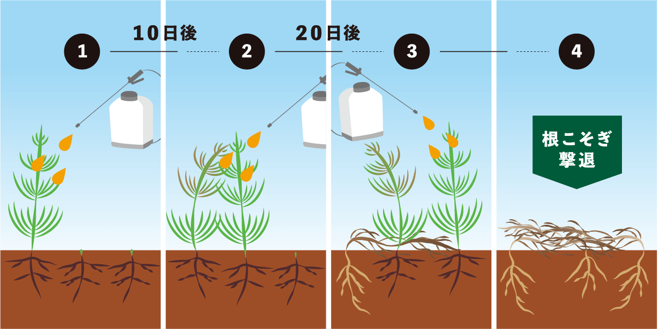 公式】除草剤ハーブ・ニート｜あらゆる雑草に効く・土にもやさしい除草剤