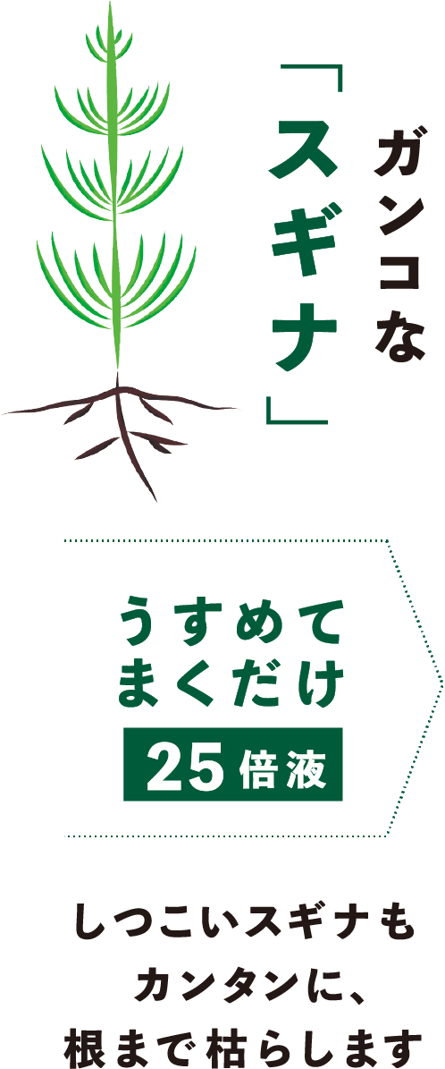 ガンコな スギナ しつこいスギナもカンタンに、根まで枯らします