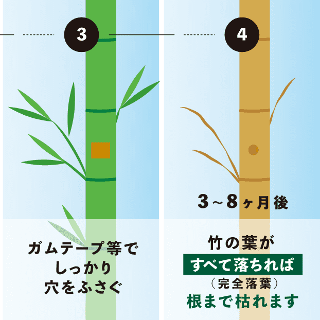 畑や果樹園