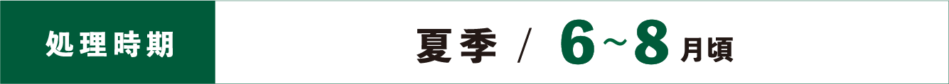 注入処理するだけ