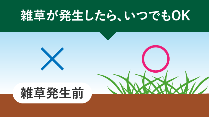 雑草が発生したら、いつでもOK