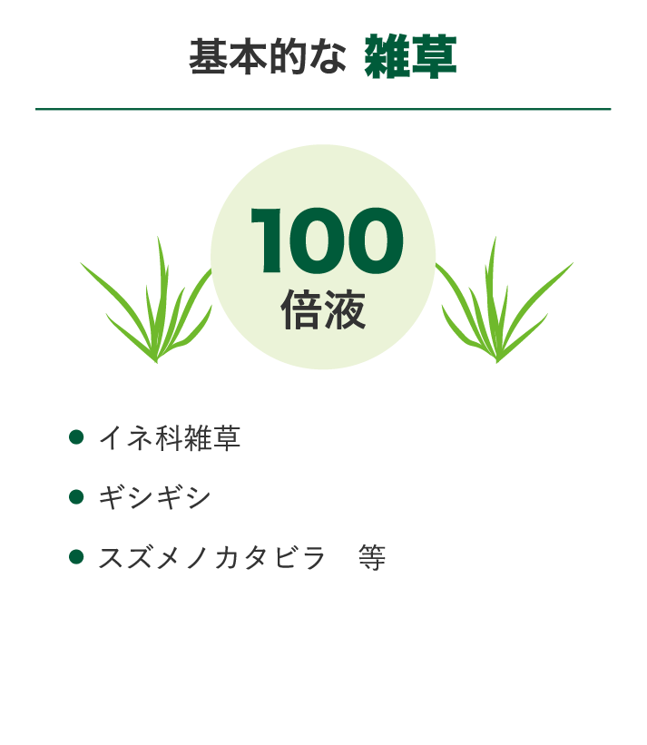 基本的な雑草　100倍液