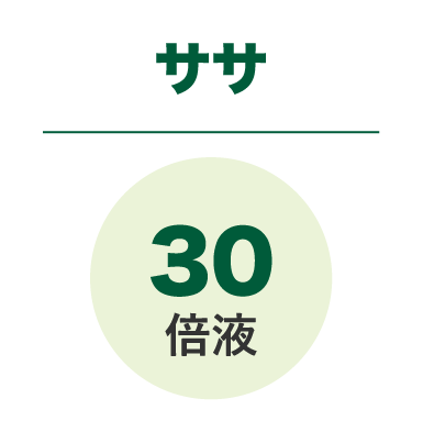 ササ　30倍液